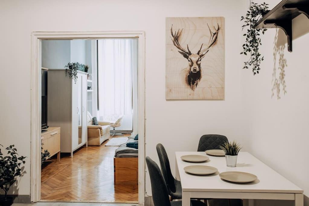 Big Apartment In The City Centre Budapest Eksteriør billede