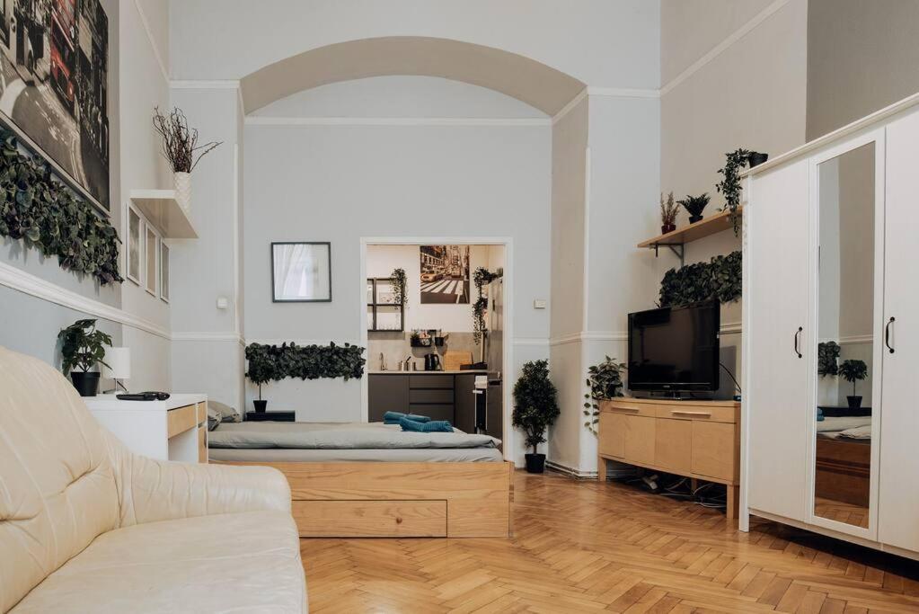Big Apartment In The City Centre Budapest Eksteriør billede